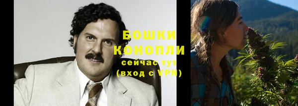 спайс Алексин