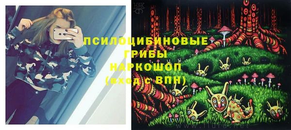 бутират Алзамай