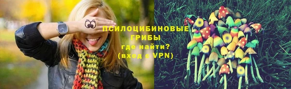 спайс Алексин